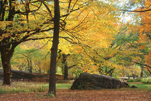 Central Park, New York City Central Park, New York City by creATive809 (José Elias DLC) , on Flickr